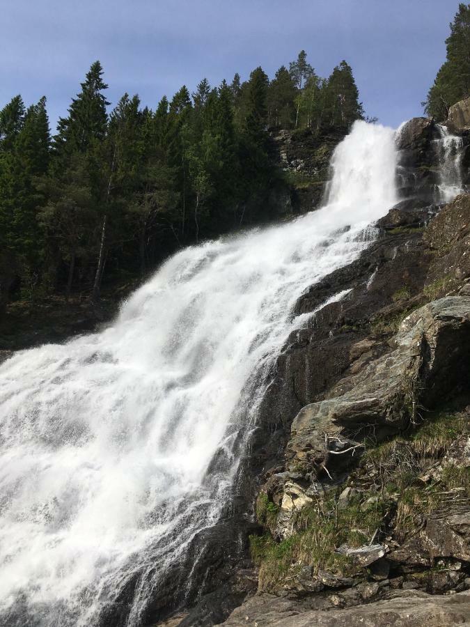 Hammertunet Villa Hopland  Buitenkant foto