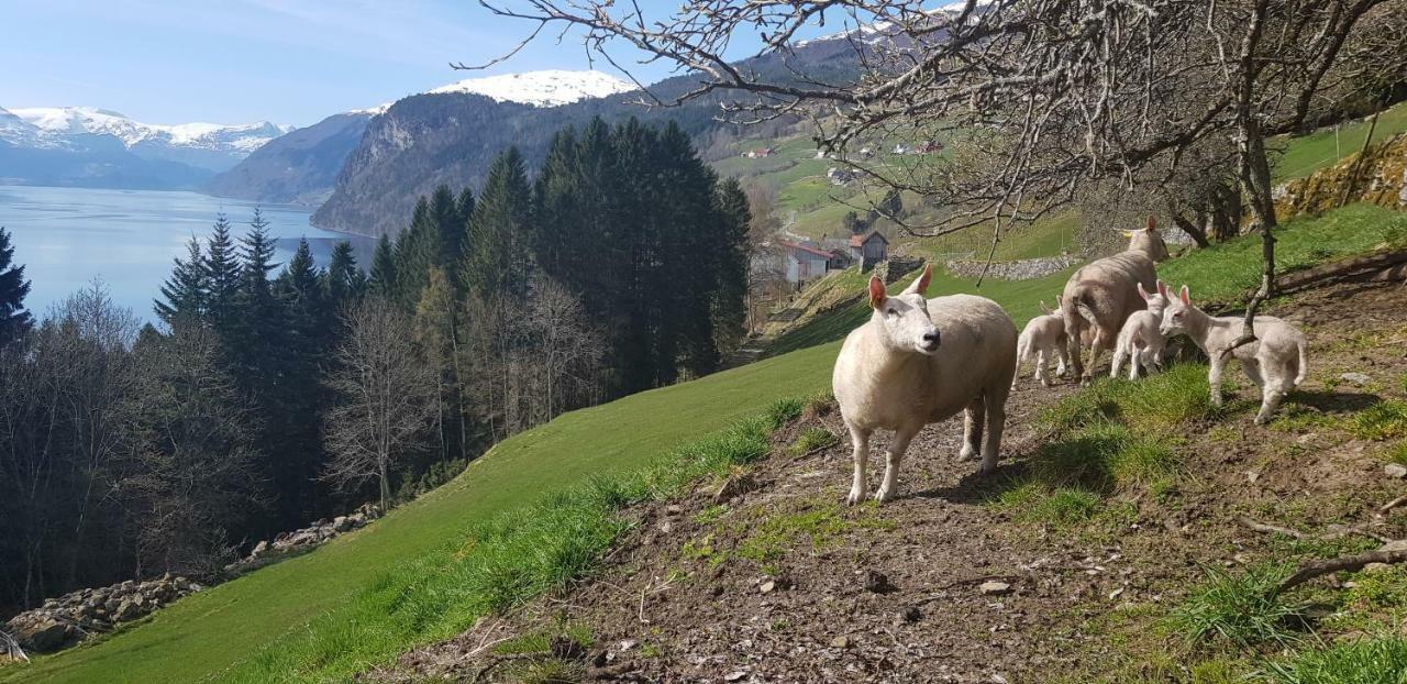 Hammertunet Villa Hopland  Buitenkant foto